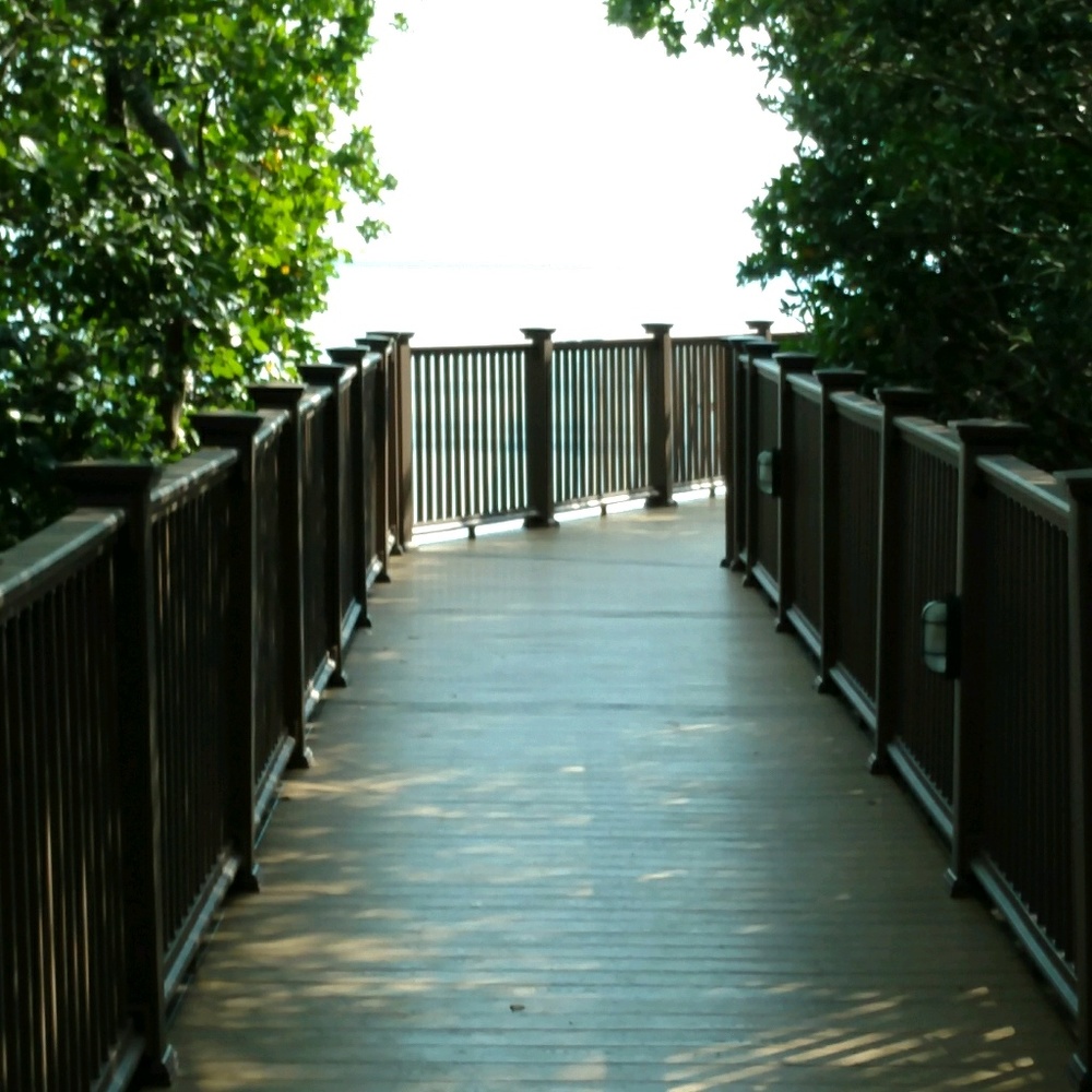 Meet your Posher, Nita